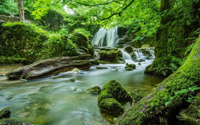 可靠性节能